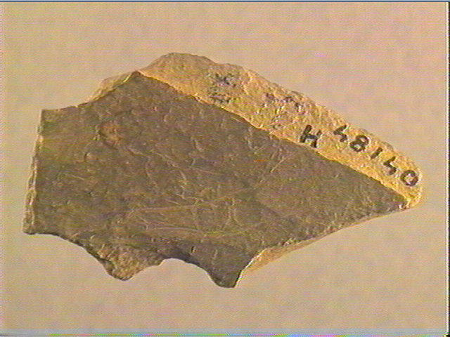 Plaquette (fragment)_2