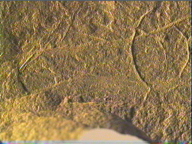 Plaquette (fragment)_5