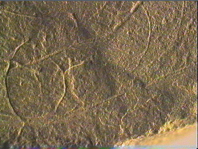 Plaquette (fragment)_6