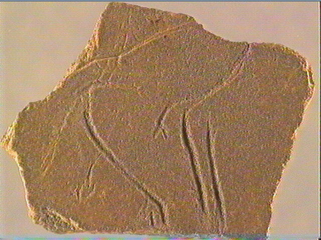 Plaquette (fragment)_2
