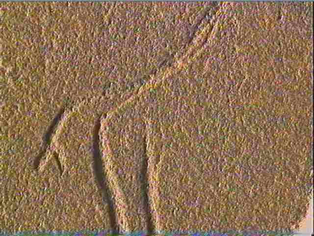 Plaquette (fragment)_6