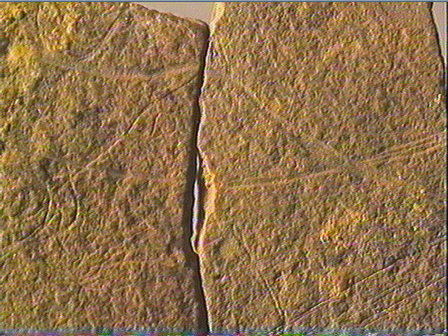Plaquette (fragment)_3
