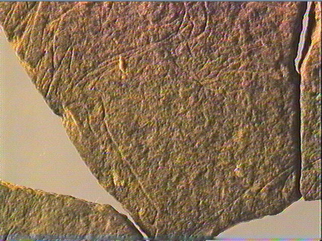 Plaquette (fragment)_4