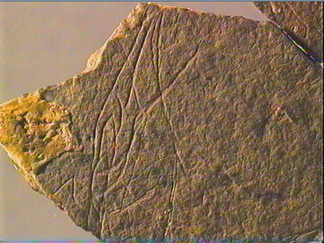 Plaquette (fragment)_5