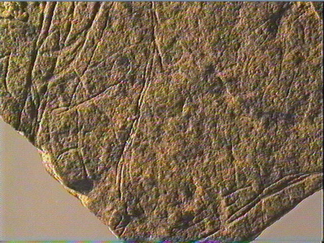 Plaquette (fragment)_6
