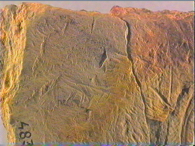 Plaquette (fragment, 3)_3