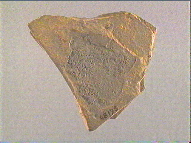 Plaquette (fragment)_1