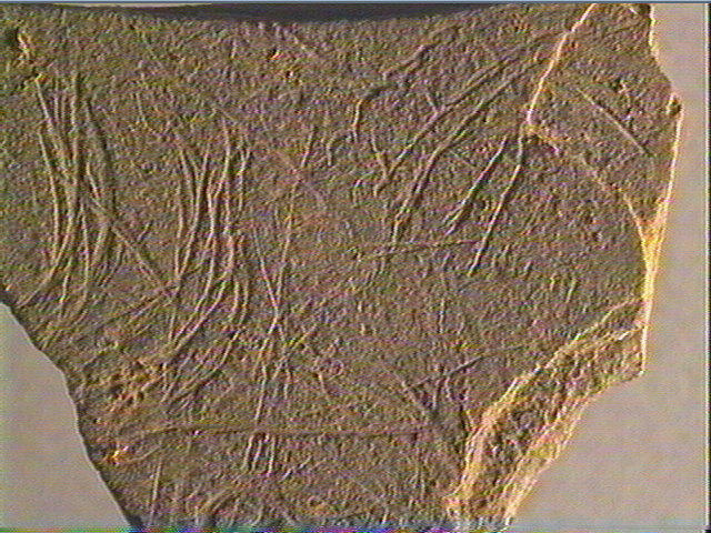Plaquette (fragment)_3