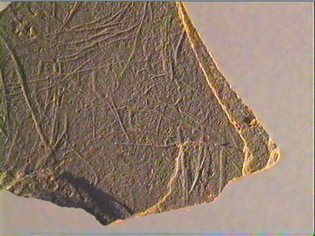 Plaquette (fragment)_6
