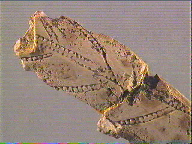 Pendeloque_4