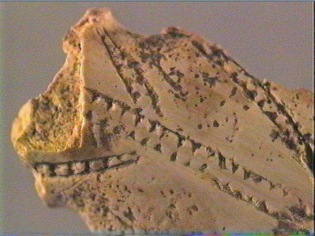 Pendeloque_5