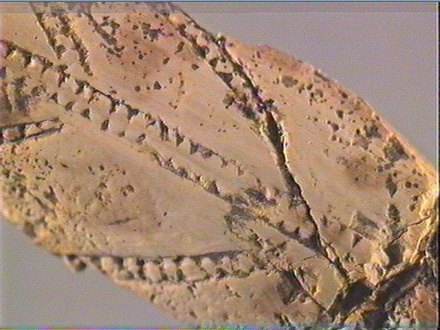 Pendeloque_6