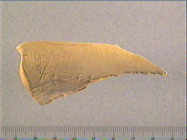 Contour découpé_0