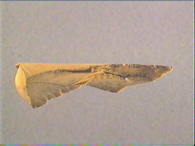 Contour découpé_1