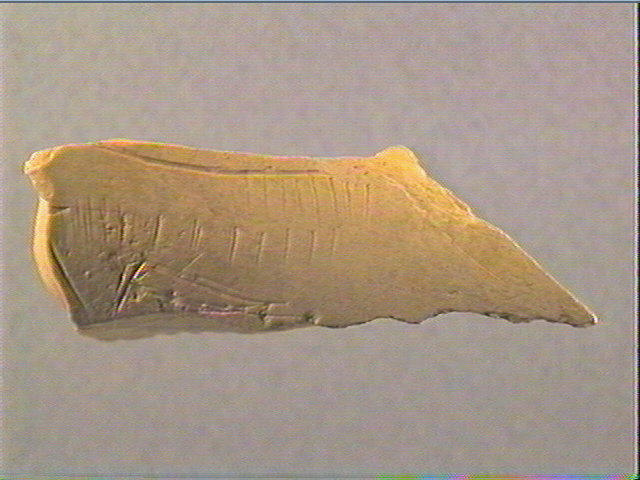 Contour découpé_2