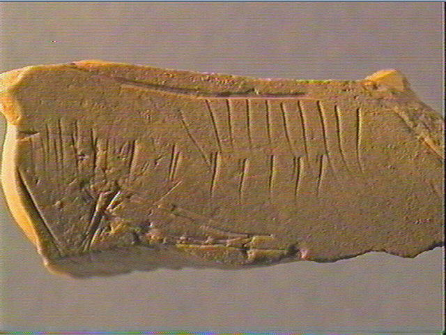 Contour découpé_4