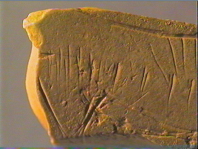 Contour découpé_5