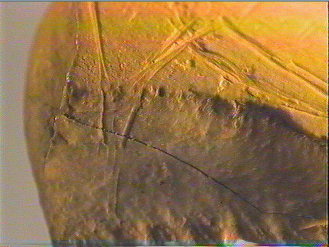 Contour découpé_6