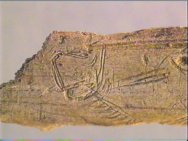Os indéterminé_4