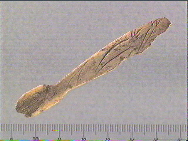 Pendeloque, côte_0