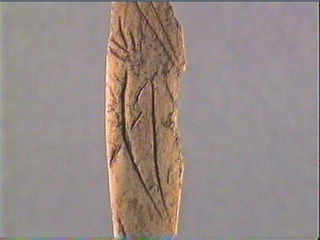 Pendeloque, côte_5