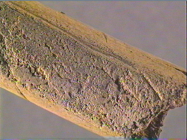 Pointe_5