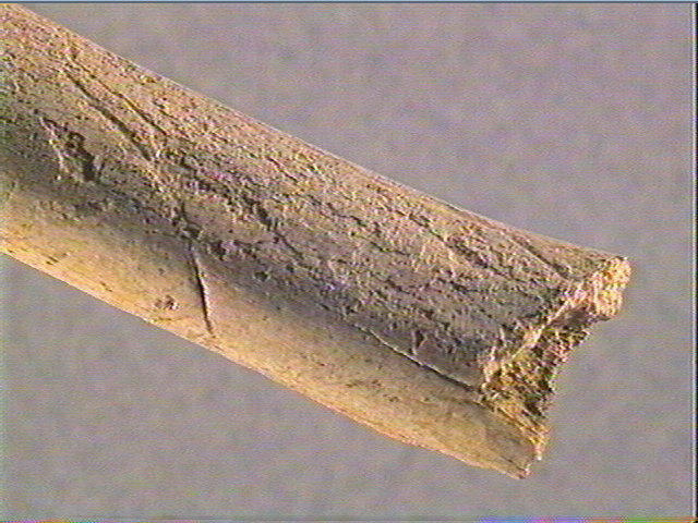 Pointe_6