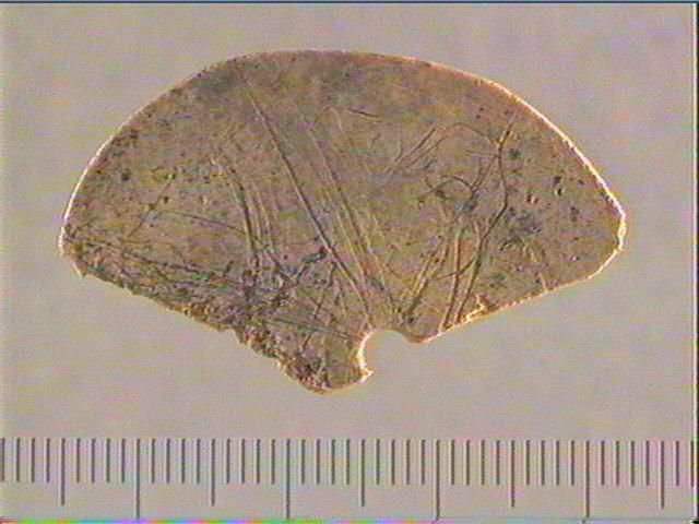 Rondelle, scapula_0