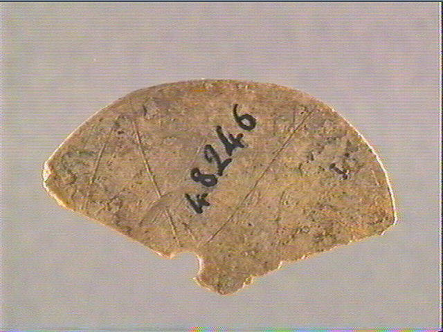 Rondelle, scapula_2