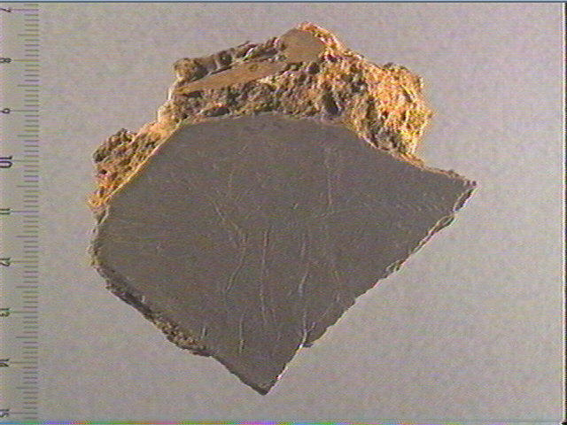 Plaquette (fragment)_0