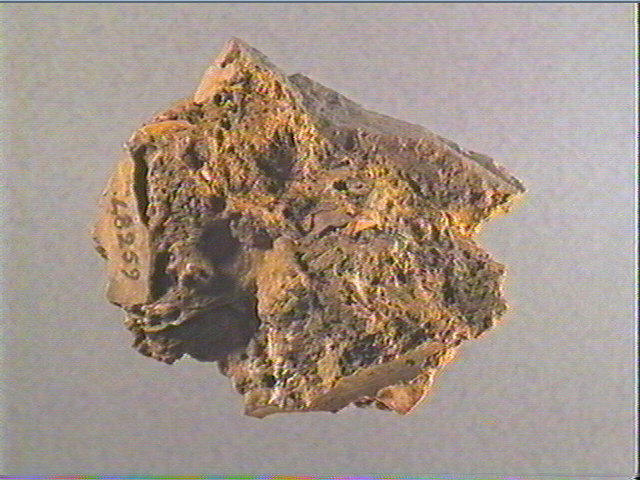 Plaquette (fragment)_1