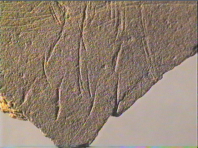 Plaquette (fragment)_3