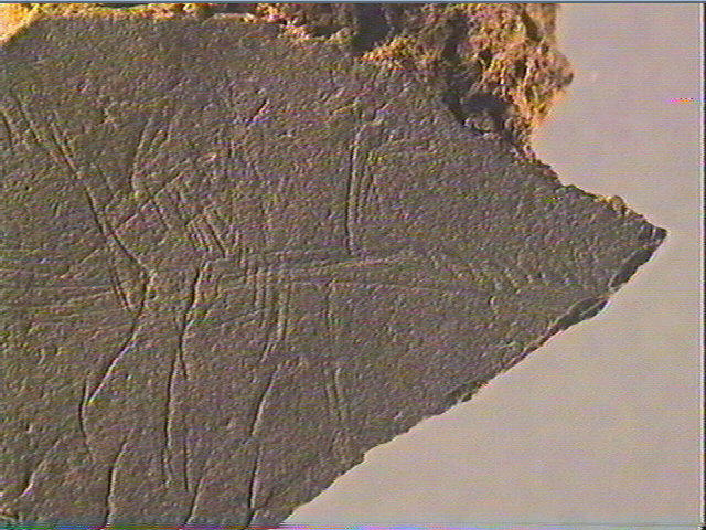 Plaquette (fragment)_6