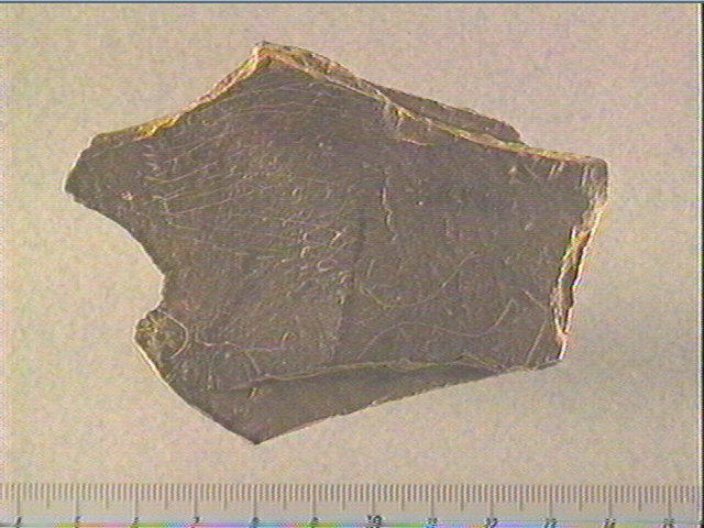Plaquette (fragment)_0