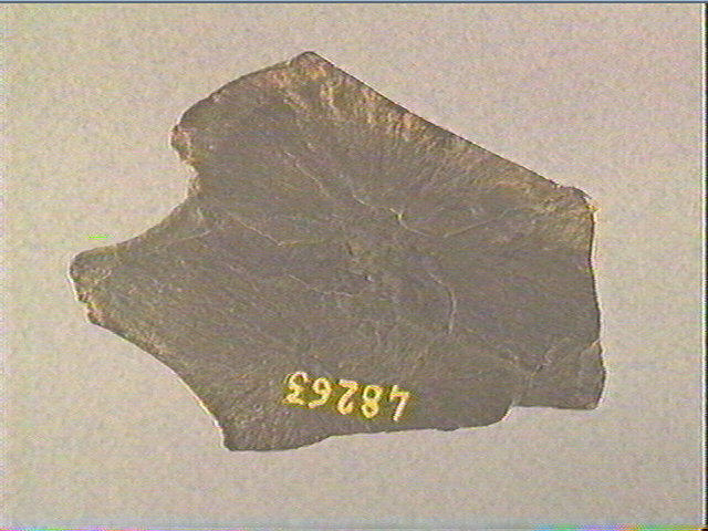 Plaquette (fragment)_2
