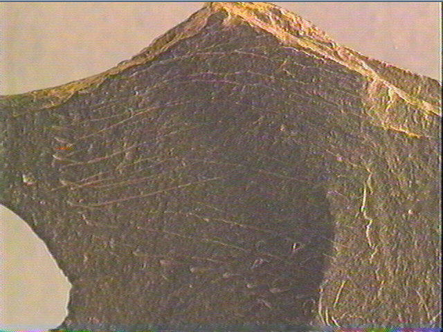 Plaquette (fragment)_3