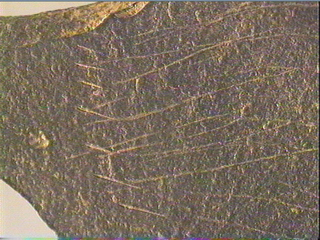 Plaquette (fragment)_4