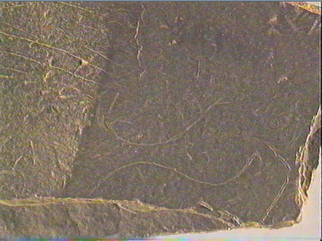 Plaquette (fragment)_6
