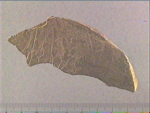 Plaquette (fragment)_0