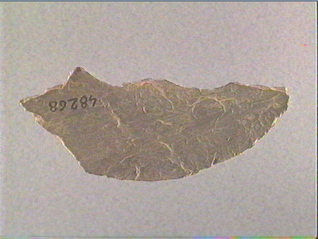 Plaquette (fragment)_1