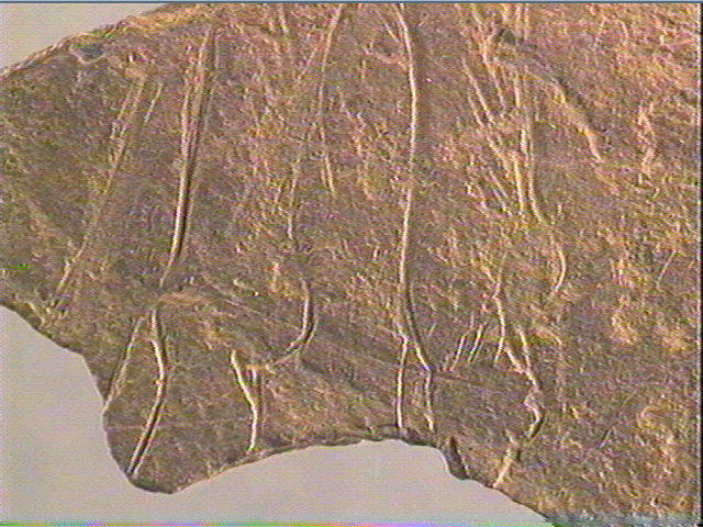 Plaquette (fragment)_3