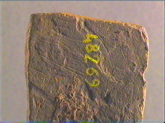 Plaquette (fragment)_3