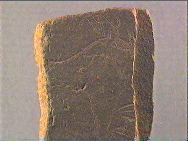 Plaquette (fragment)_4