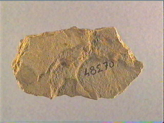 Plaquette (fragment)_2