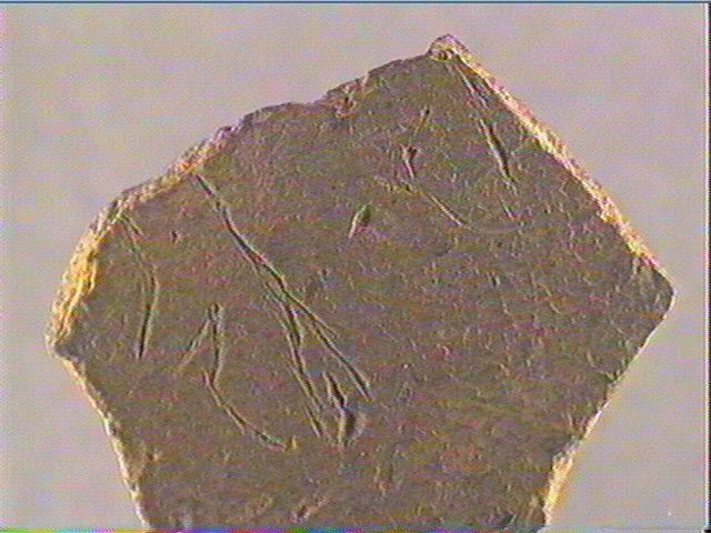 Plaquette (fragment)_3