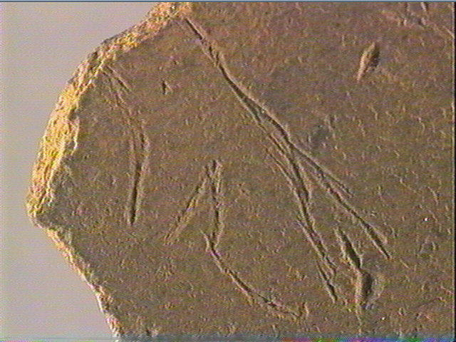 Plaquette (fragment)_4