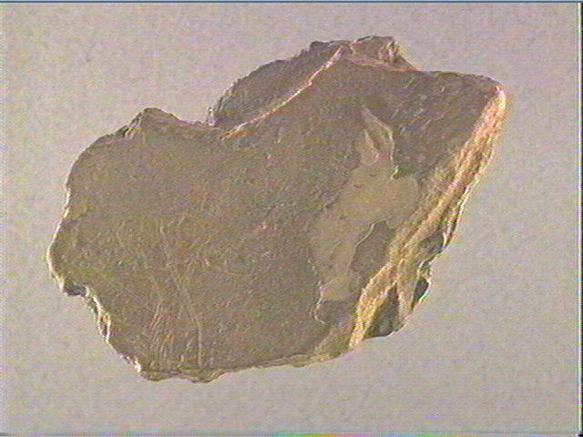 Plaquette (fragment, 2)_1