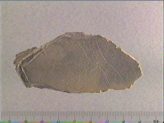 Plaquette (fragment)_0