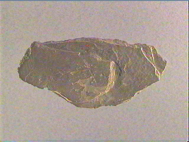 Plaquette (fragment)_2