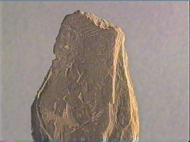 Plaquette (fragment)_5